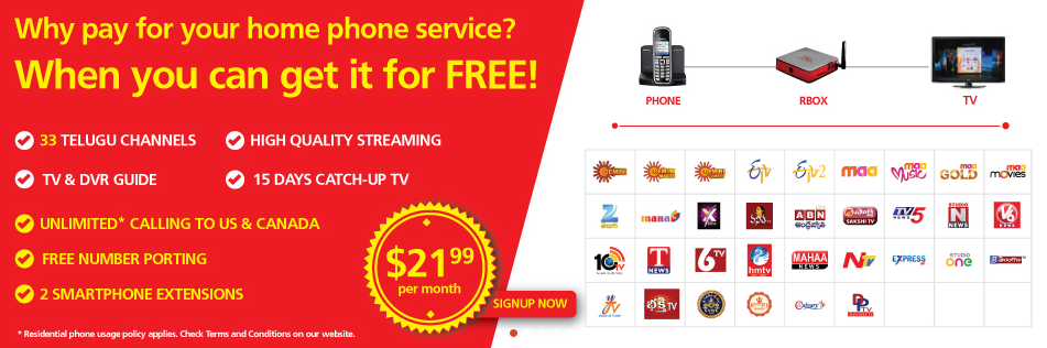 hindi tv packages in usa